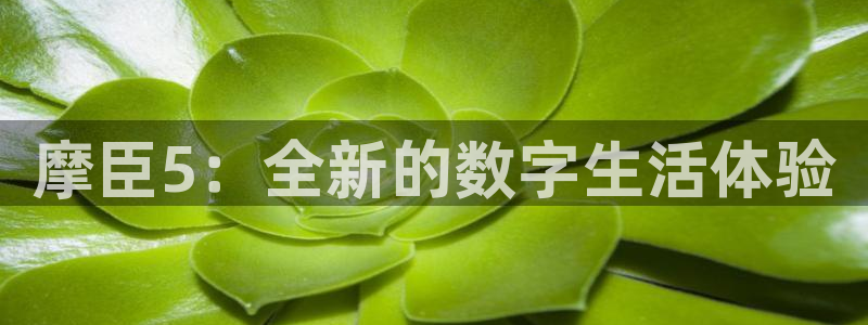壹号平台下载安装：摩臣5：全新的数字生活体验