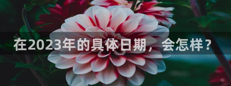 壹号app下载