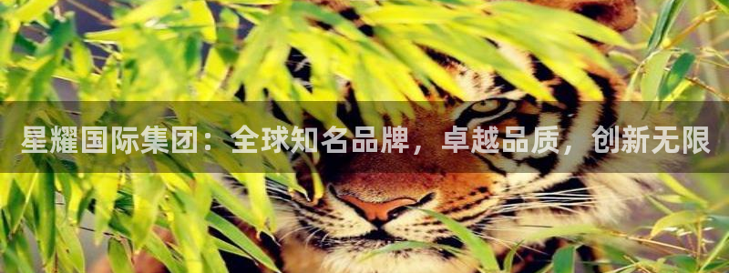 壹号大舞台下载链接