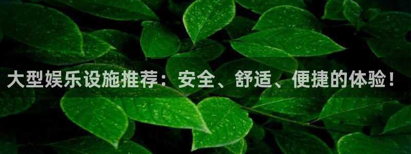 壹号电子娱乐app下载最新版本安装
