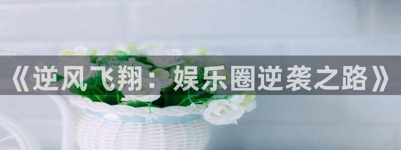 壹号电子娱乐app下载官网