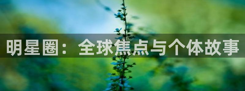 万事娱乐吧