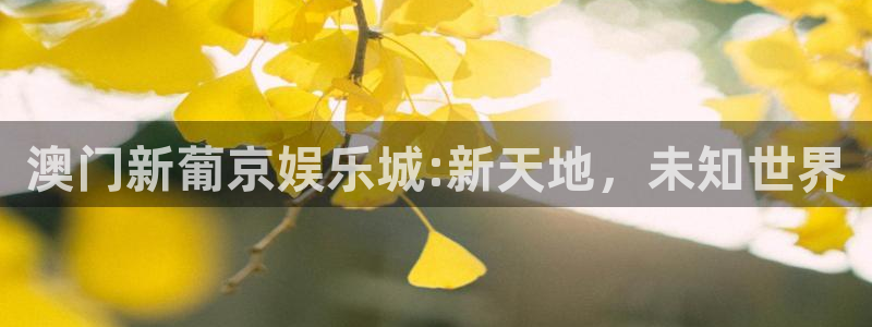 壹号电子娱乐app下载安装最新版本