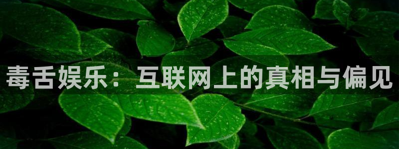 万事娱乐电子游戏官网