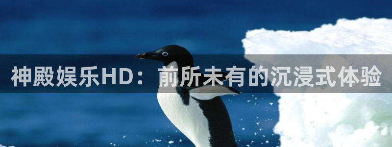壹号大舞台娱乐app下载安装
