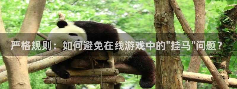万事娱乐app下载官网