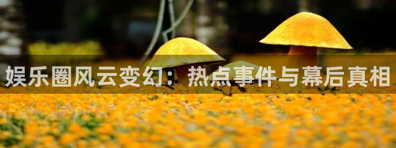 壹号top娱乐
