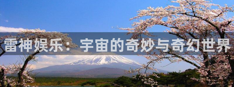 壹号玩家app下载
