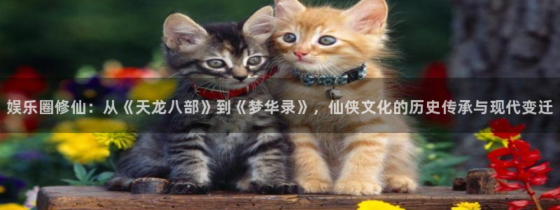 万事娱乐官方app下载安装