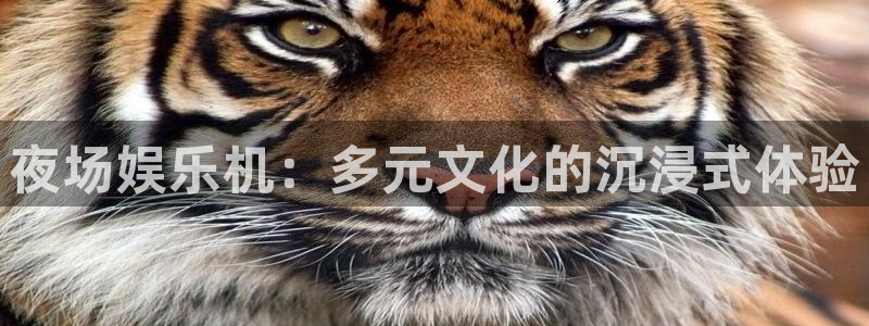 壹号大舞台娱乐传媒