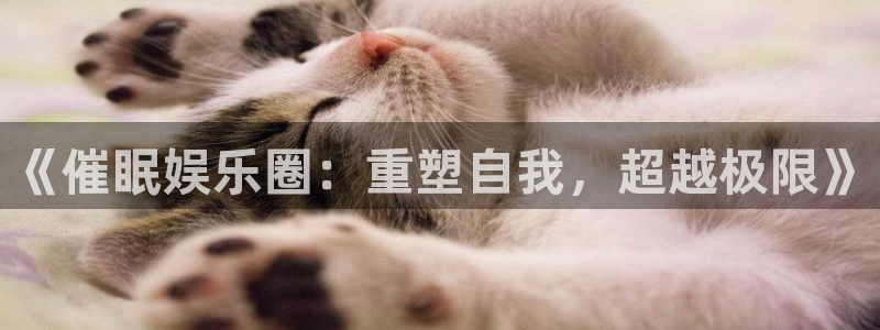 壹号app下载苹果