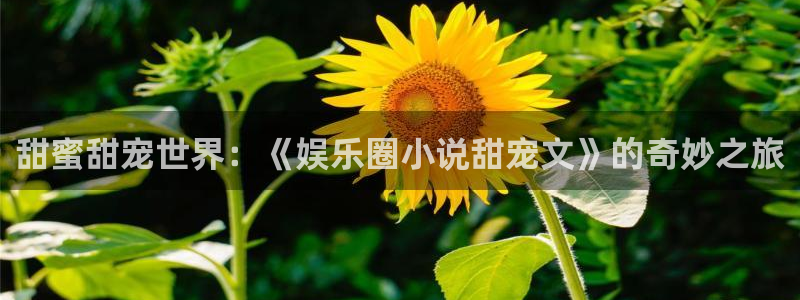 壹号大舞台怎么下载