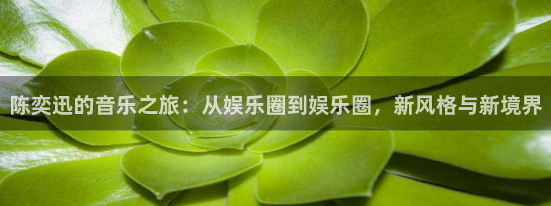 壹号app下载