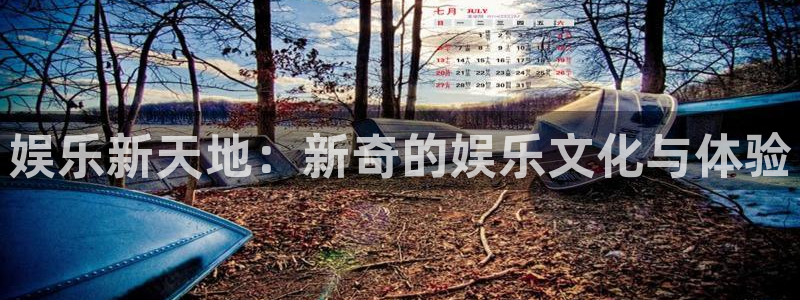 壹号大舞台,有梦你就来：娱乐新天地：新奇的娱乐文化与体验