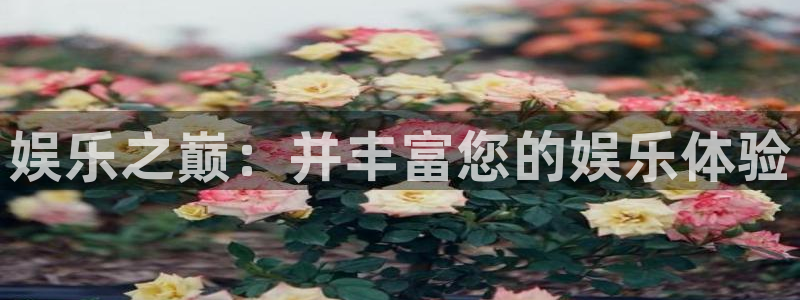 万事娱乐app最新版怎么下载苹果：娱乐之巅：并丰富您的娱乐体验