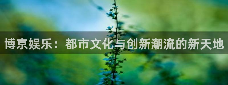 壹号大舞台怎么下载