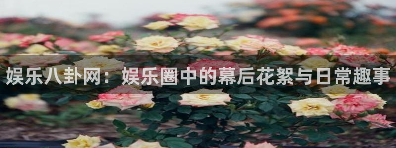 壹号app官方登录入口下载