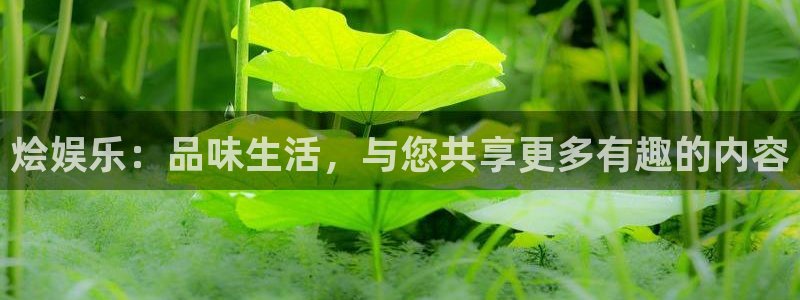 壹号电子娱乐app下载最新版