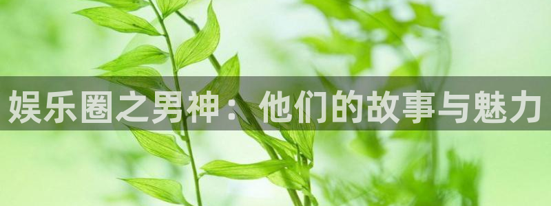 壹号app下载官网娱乐