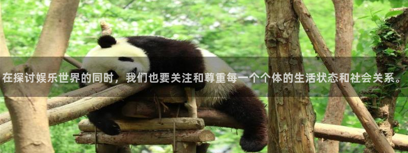 壹号app官方登录入口下载：在探讨娱乐世界的同时，我们也要关注和尊重每一个个体的生活状态和社会关系。