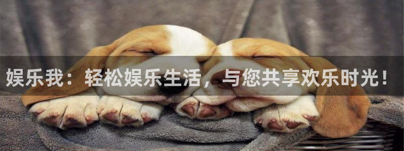 壹号app下载：娱乐我：轻松娱乐生活，与您共享欢乐时光！