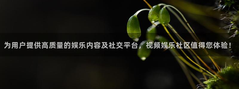 万事娱乐平台app下载安装：为用户提供高质量的娱乐内容及社交平台，视频娱乐社区值得您体验！